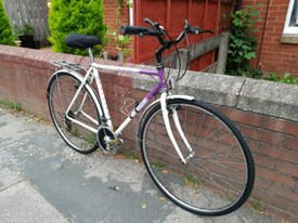 raleigh max mountain bike 1997